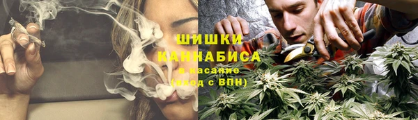 МДПВ Пролетарск