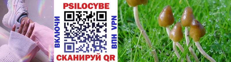 Галлюциногенные грибы Psilocybine cubensis  магазин продажи наркотиков  Кораблино 